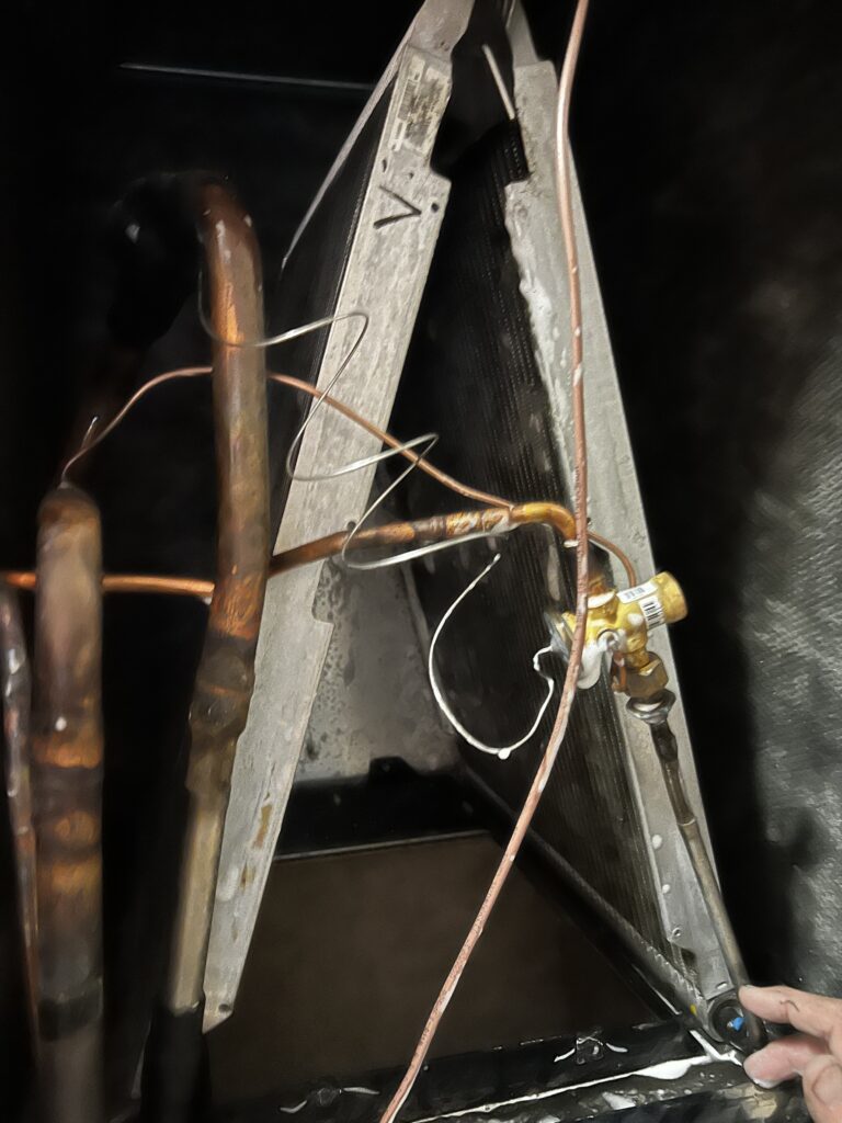 Inspecting evaporator coil before cleaning is performed.